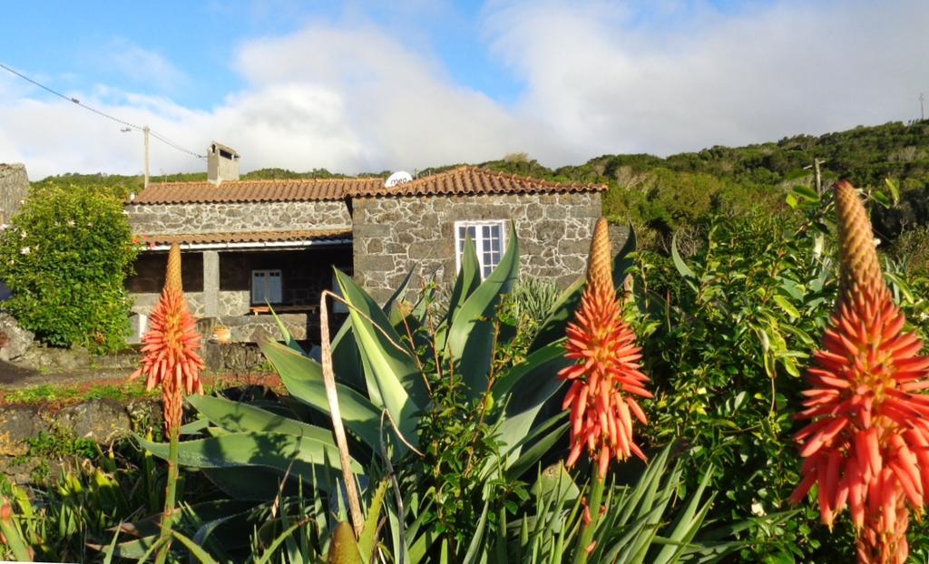 Casa Do Bernardo Villa Feiteira Exterior photo